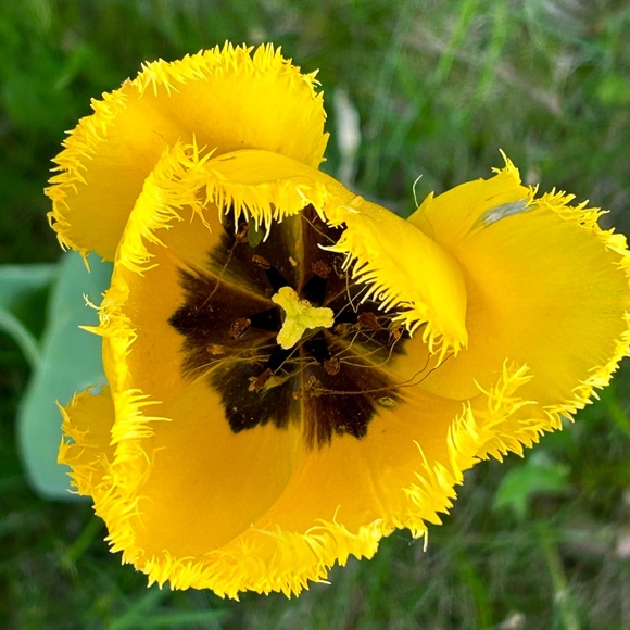 Meet your Posher - Picture 3 of 9